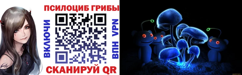 Псилоцибиновые грибы GOLDEN TEACHER  Купить закладки  Райчихинск 